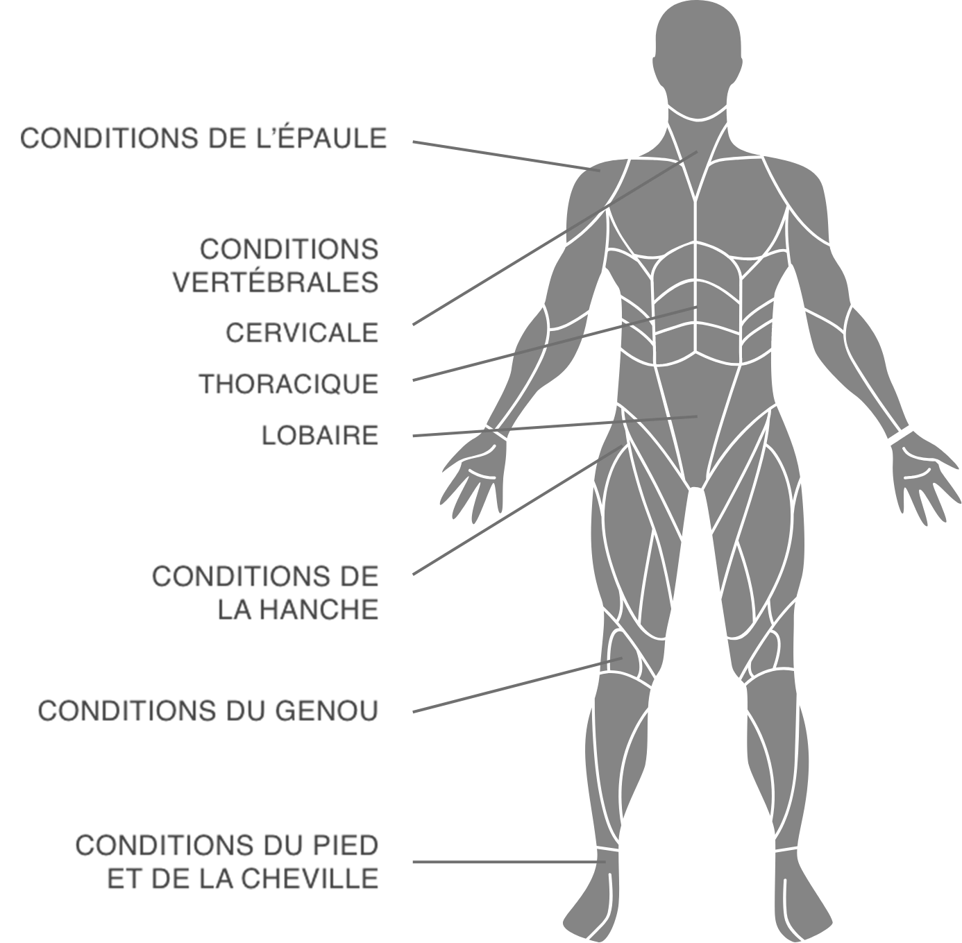 Body Map