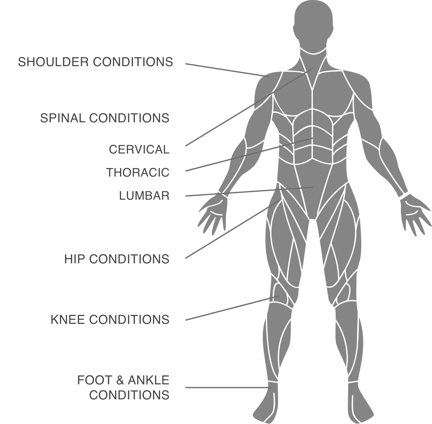 Body Map