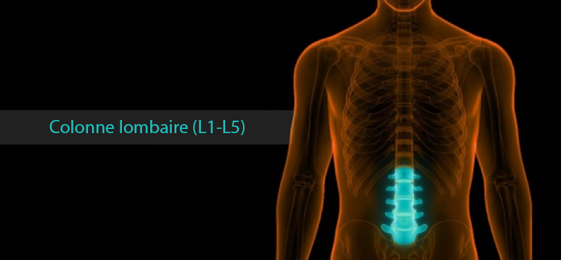 Lumbar Spine