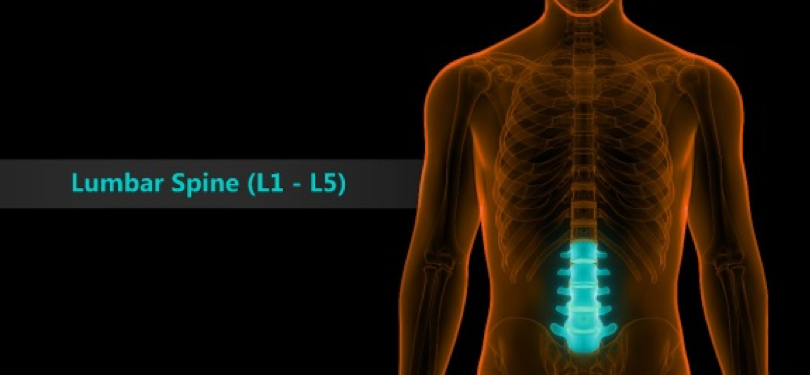 Lumbar Spine